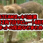 &AUDITIONから誕生した＆TEAM12月7日デビュー！特典は？ショーケース応募方法は？スッキリ出演のネット反応