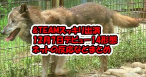 &AUDITIONから誕生した＆TEAM12月7日デビュー！特典は？ショーケース応募方法は？スッキリ出演のネット反応