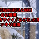 ＆TEAMのHARUAとMAKIの小さいケンカに「かわいい」「なごむ」と反響【日本テレビ・スッキリ】