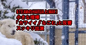 ＆TEAMのHARUAとMAKIの小さいケンカに「かわいい」「なごむ」と反響【日本テレビ・スッキリ】