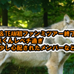 &TEAM初ファンミツアー、Kくんレベチ過ぎ！あのメンバーに少し心配の声が続出[2023 &TEAM FANTOUR LUNÉ MARE : 月波]