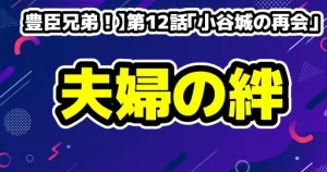 【豊臣兄弟！】第12話「小谷城の再会」徹底解説！動き出す運命と夫婦の絆